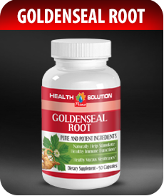 Golden Seal Root by Vitamin Prime
